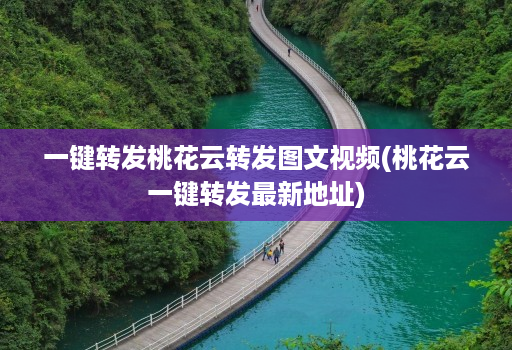 一键转发桃花云转发图文视频(桃花云一键转发最新地址)
