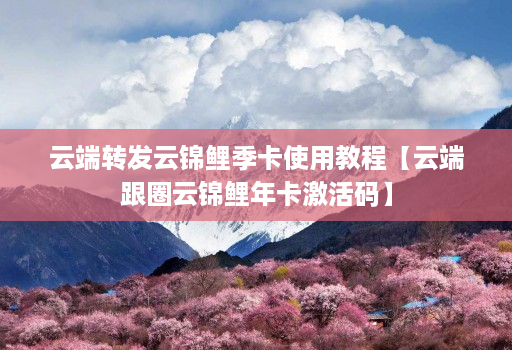 云端转发云锦鲤季卡使用教程【云端跟圈云锦鲤年卡激活码】