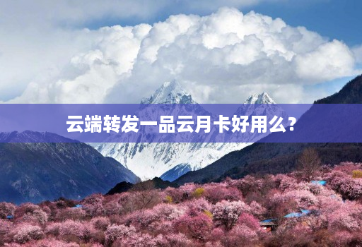 云端转发一品云月卡好用么？