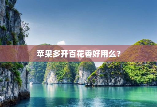 苹果多开百花香好用么？