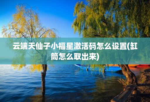 云端天仙子小福星激活码怎么设置(缸筒怎么取出来)