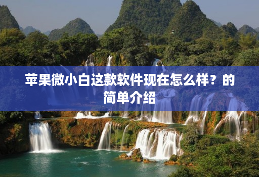 苹果微小白这款软件现在怎么样？的简单介绍