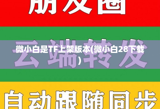 微小白是TF上架版本(微小白28下载)