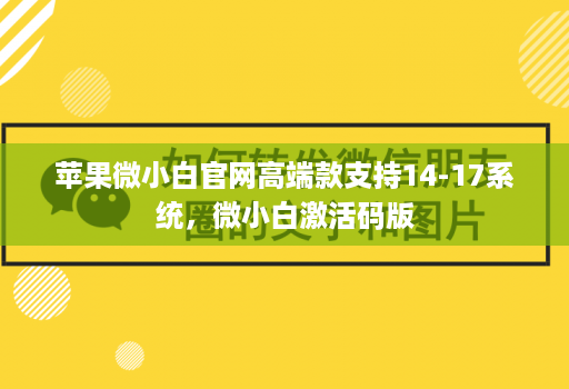 苹果微小白官网高端款支持14-17系统，微小白激活码版