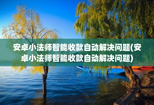 安卓小法师智能收款自动解决问题(安卓小法师智能收款自动解决问题)