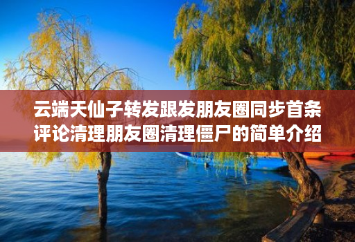 云端天仙子转发跟发朋友圈同步首条评论清理朋友圈清理僵尸的简单介绍