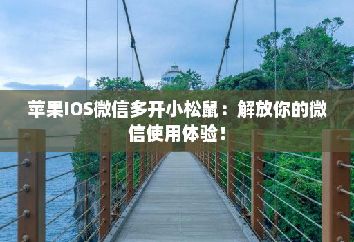 苹果IOS微信多开小松鼠：解放你的微信使用体验！