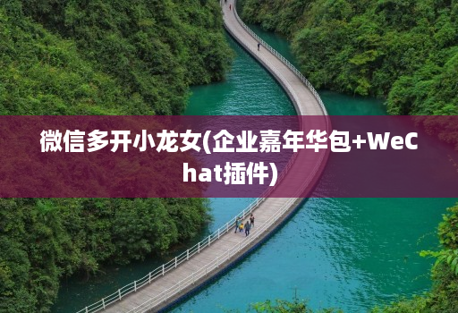 微信多开小龙女(企业嘉年华包+WeChat插件)