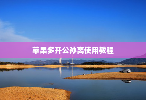 苹果多开公孙离使用教程