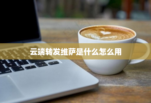 云端转发维萨是什么怎么用