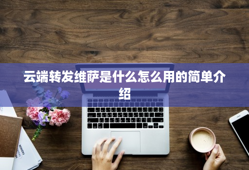 云端转发维萨是什么怎么用的简单介绍