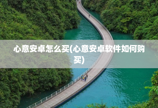 心意安卓怎么买(心意安卓软件如何购买)
