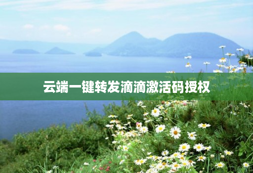 云端一键转发滴滴激活码授权