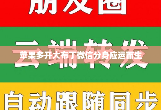 苹果多开大布丁微信分身应运而生