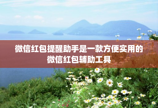 微信红包提醒助手是一款方便实用的微信红包辅助工具