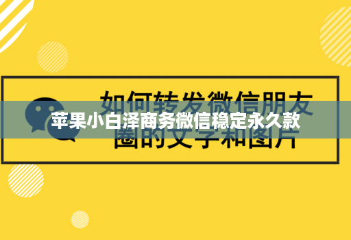 苹果小白泽商务微信稳定永久款