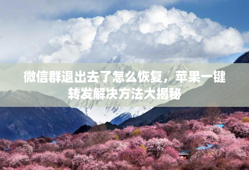 微信群退出去了怎么恢复，苹果一键转发解决方法大揭秘