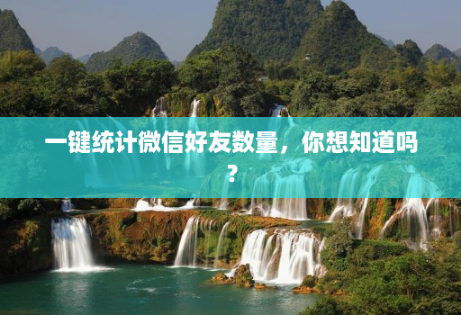 一键统计微信好友数量，你想知道吗？