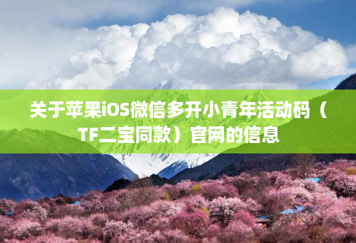 关于苹果iOS微信多开小青年活动码（TF二宝同款）官网的信息