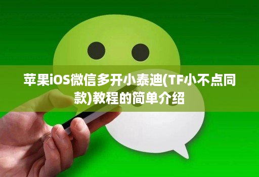 苹果iOS微信多开小泰迪(TF小不点同款)教程的简单介绍