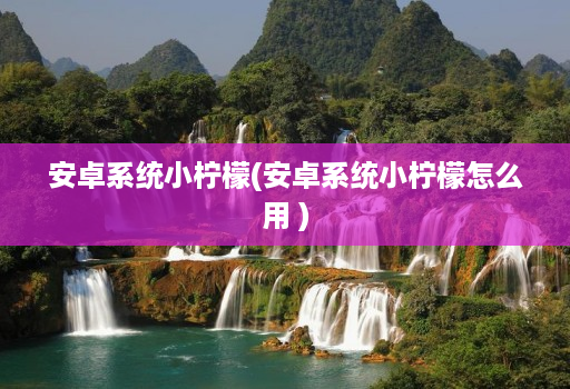 安卓系统小柠檬(安卓系统小柠檬怎么用 )