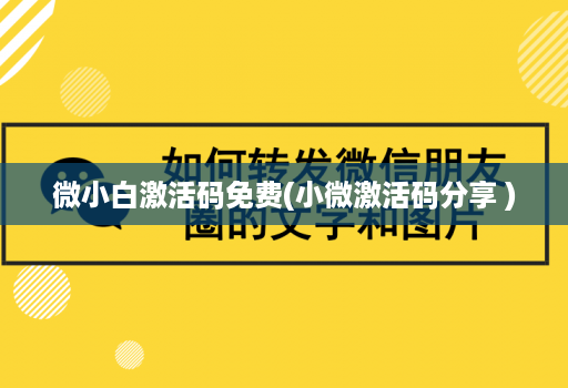 微小白激活码免费(小微激活码分享 )