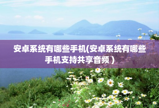 安卓系统有哪些手机(安卓系统有哪些手机支持共享音频 )