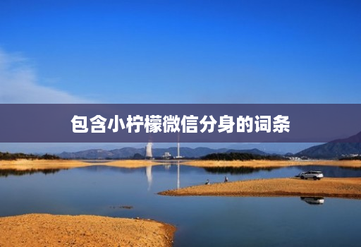 包含小柠檬微信分身的词条