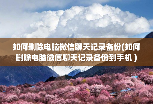 如何删除电脑微信聊天记录备份(如何删除电脑微信聊天记录备份到手机 )