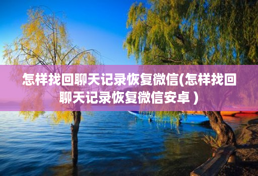 怎样找回聊天记录恢复微信(怎样找回聊天记录恢复微信安卓 )