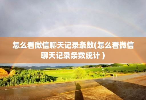 怎么看微信聊天记录条数(怎么看微信聊天记录条数统计 )