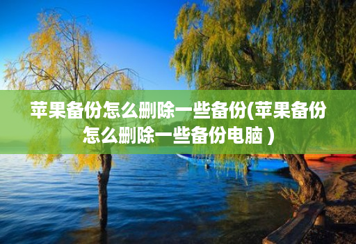 苹果备份怎么删除一些备份(苹果备份怎么删除一些备份电脑 )