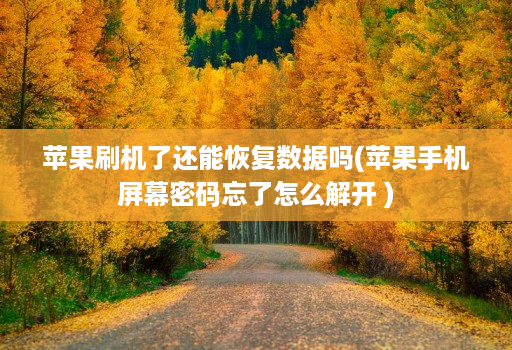 苹果刷机了还能恢复数据吗(苹果手机屏幕密码忘了怎么解开 )