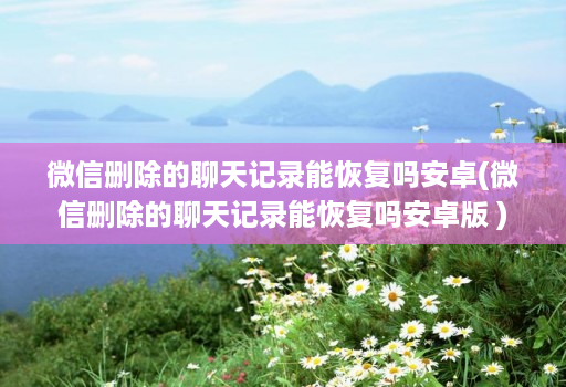 微信删除的聊天记录能恢复吗安卓(微信删除的聊天记录能恢复吗安卓版 )