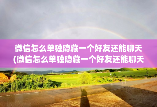 微信怎么单独隐藏一个好友还能聊天(微信怎么单独隐藏一个好友还能聊天呢 )