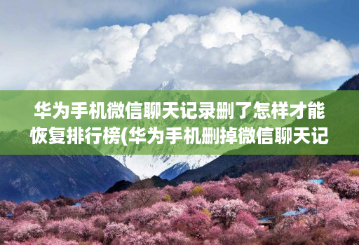 华为手机微信聊天记录删了怎样才能恢复排行榜(华为手机删掉微信聊天记录怎么恢复 )