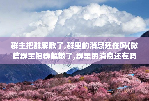 群主把群解散了,群里的消息还在吗(微信群主把群解散了,群里的消息还在吗 )