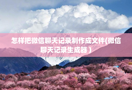 怎样把微信聊天记录制作成文件(微信聊天记录生成器 )
