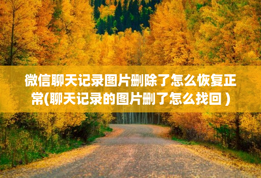 微信聊天记录图片删除了怎么恢复正常(聊天记录的图片删了怎么找回 )