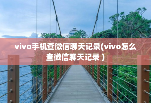 vivo手机查微信聊天记录(vivo怎么查微信聊天记录 )