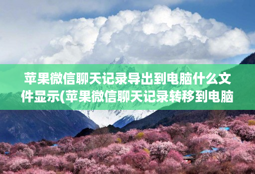 苹果微信聊天记录导出到电脑什么文件显示(苹果微信聊天记录转移到电脑文件里 )
