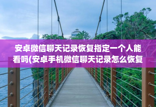 安卓微信聊天记录恢复指定一个人能看吗(安卓手机微信聊天记录怎么恢复指定人信息 )