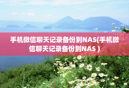 手机微信聊天记录备份到NAS(手机微信聊天记录备份到NAS )