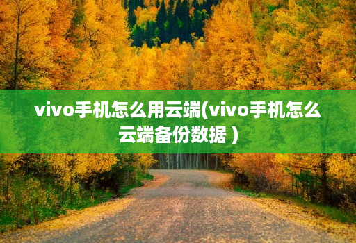 vivo手机怎么用云端(vivo手机怎么云端备份数据 )