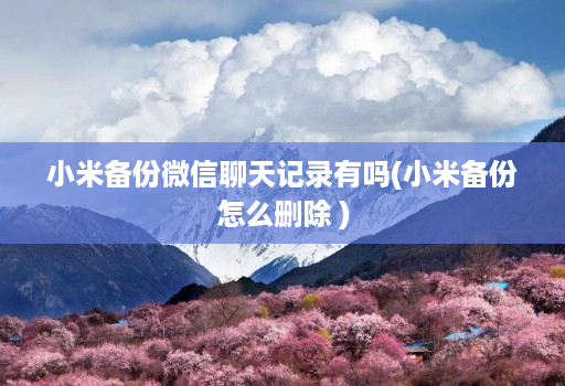 小米备份微信聊天记录有吗(小米备份怎么删除 )