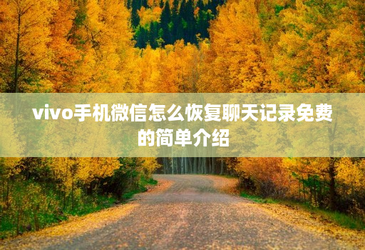 vivo手机微信怎么恢复聊天记录免费的简单介绍
