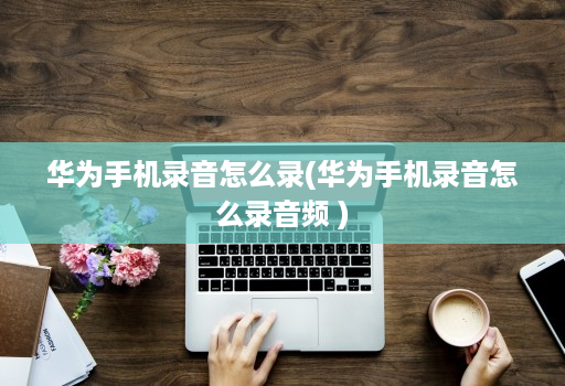 华为手机录音怎么录(华为手机录音怎么录音频 )