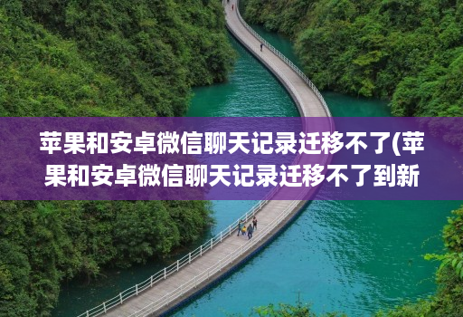 苹果和安卓微信聊天记录迁移不了(苹果和安卓微信聊天记录迁移不了到新手机 )