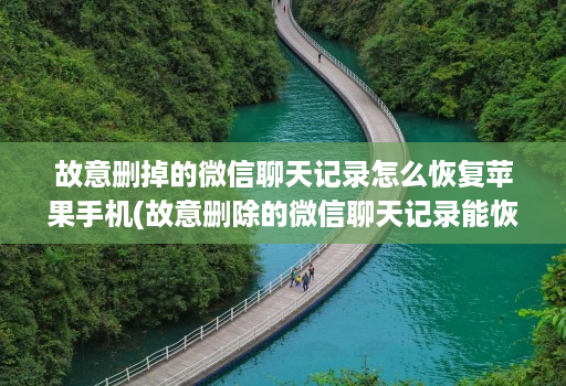 故意删掉的微信聊天记录怎么恢复苹果手机(故意删除的微信聊天记录能恢复吗 )