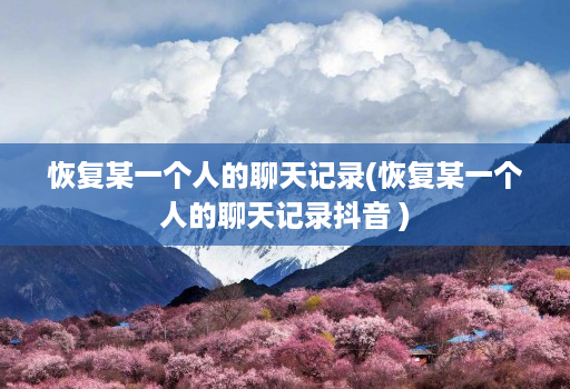 恢复某一个人的聊天记录(恢复某一个人的聊天记录抖音 )